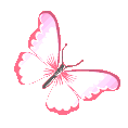 :moving_butterfly: :moving_butterfly: